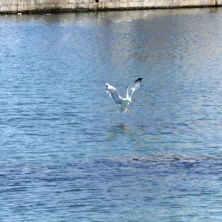 Le Palme Baia By Nonsolomare Vacanze Srlu Gallipoli