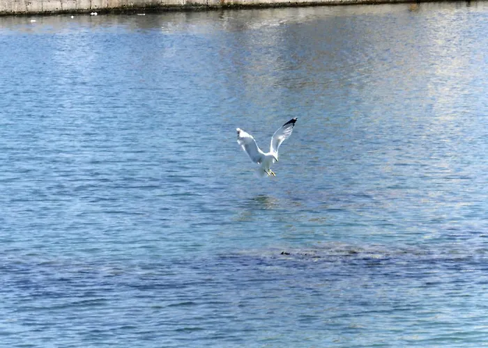 Le Palme Baia By Nonsolomare Vacanze Srlu Gallipoli
